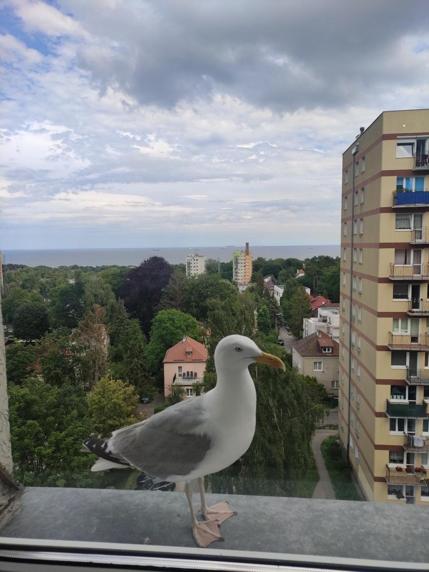 Apartament Widokowo Apartman Sopot Kültér fotó